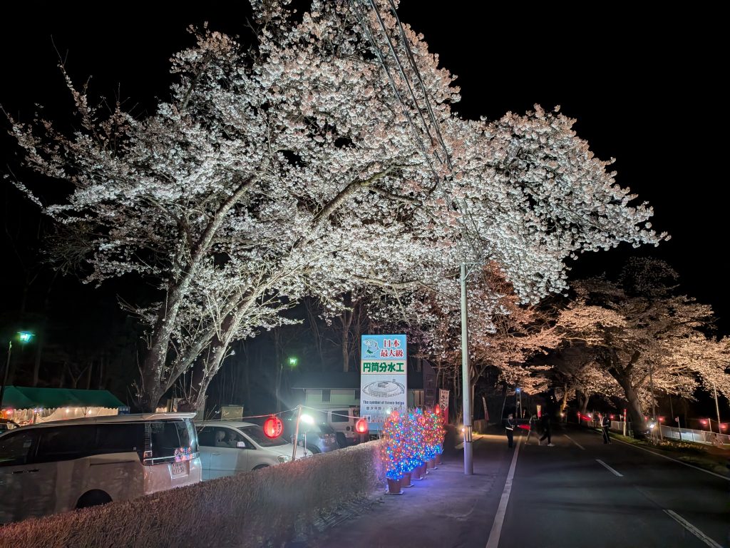 胆沢 桜の回廊 | 株式会社ヤマデン
